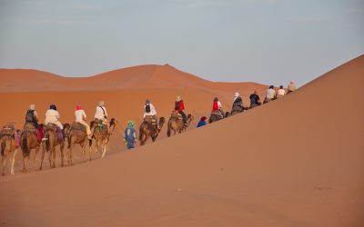 The Best Marrakech Desert Tours—Discover the Magic of Marrakech and Beyond