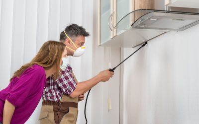 Tips for Preparing a Visit from a Pest Control Company in Rochester, MN