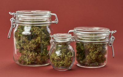 Evaluating the Best Dispensary in San Francisco: Key Considerations