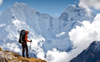 The Joys of Group Wilderness Tours in Alaska