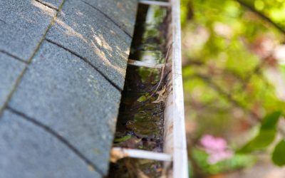 Residential Rain Gutter Cleaning in Gilroy, CA: A Key Step in Preventing Costly Home Repairs