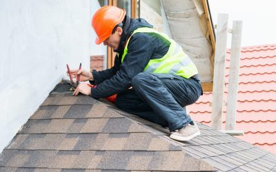 Choosing the Right Roof Replacement in Tampa, FL: What Homeowners Need to Know